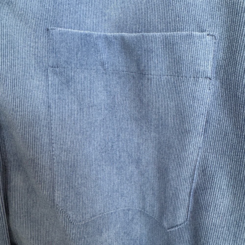 Zara Fine-Whaled Corduroy Button Up
Size Medium - Picture 4 of 7